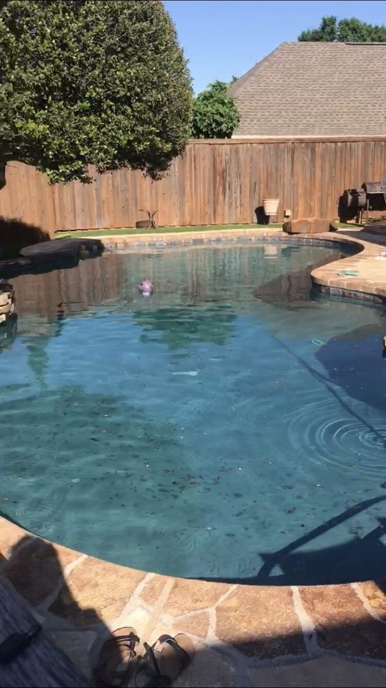 Photo of Bella Blue Pools