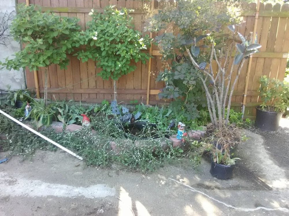 Photo of Green Dragon Labor Crews