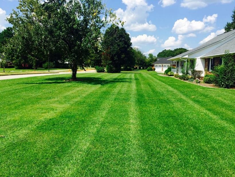 Photo of Daniel's Lawn Care