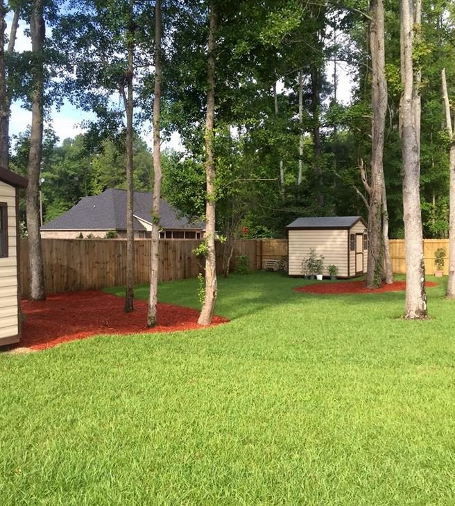 Photo of Daniel's Lawn Care