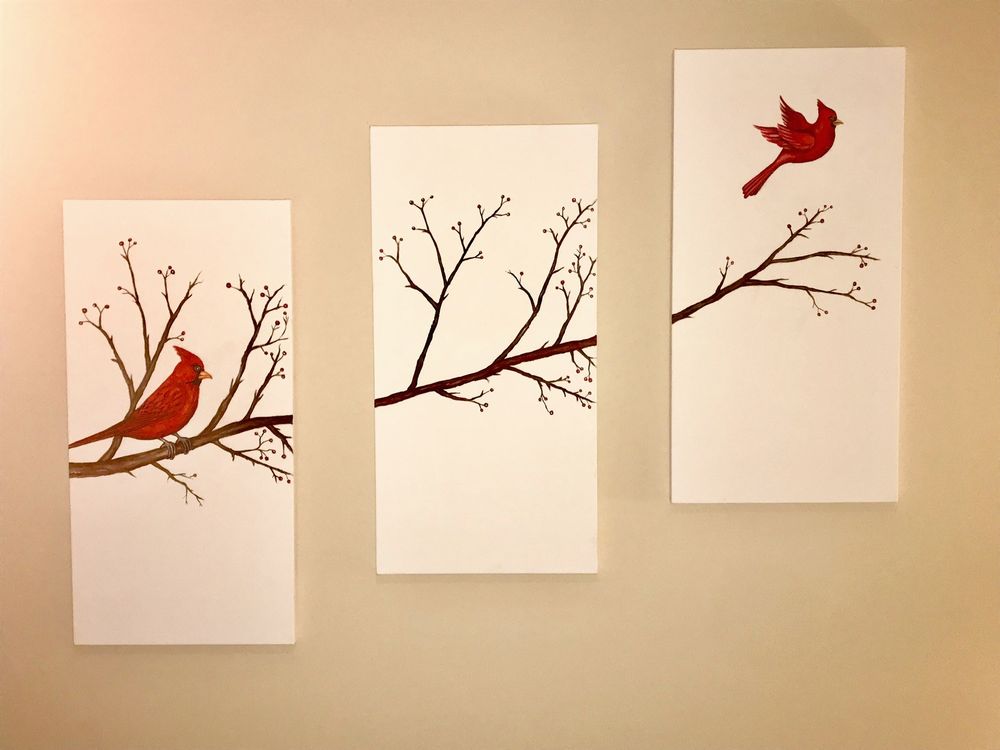 Photo of Novo Designs