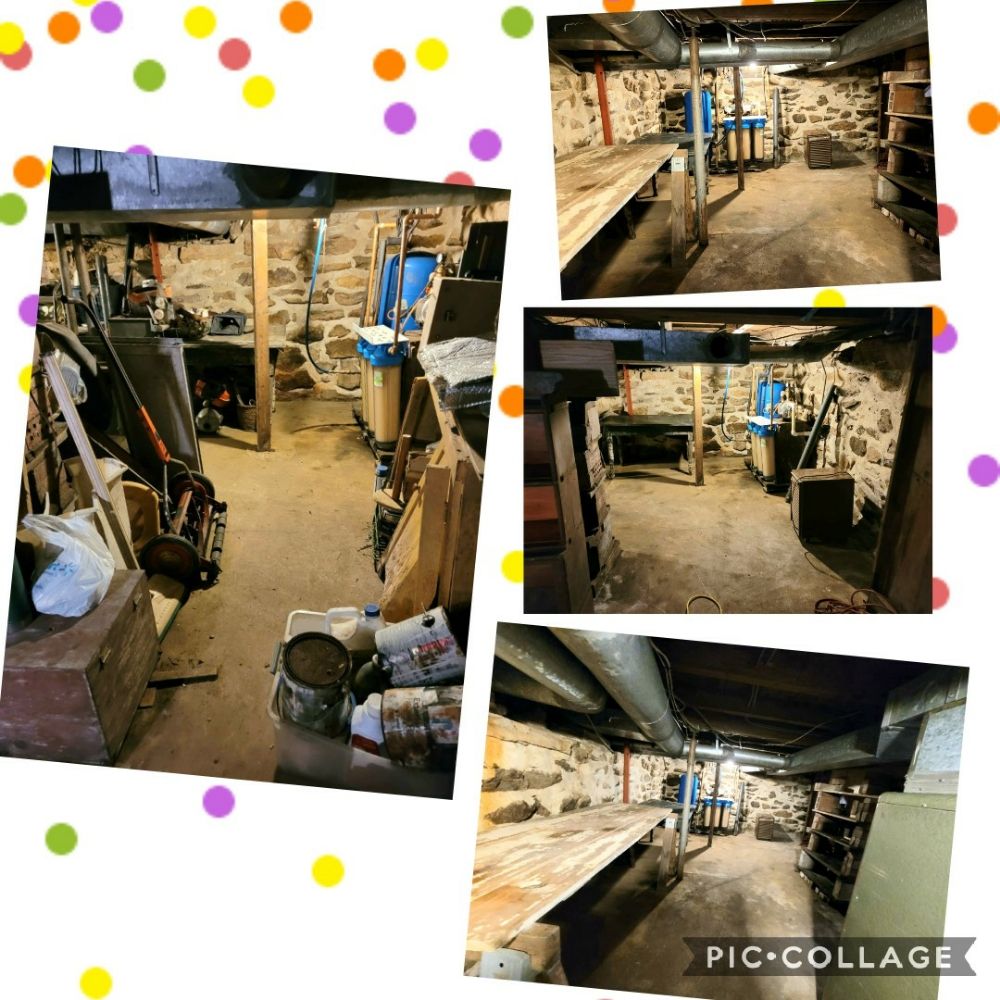 Photo of Darryl's Basement Cleaners