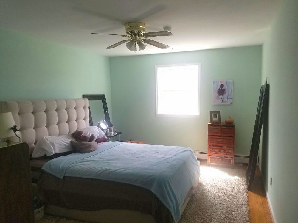 Photo of Darryl's Basement Cleaners