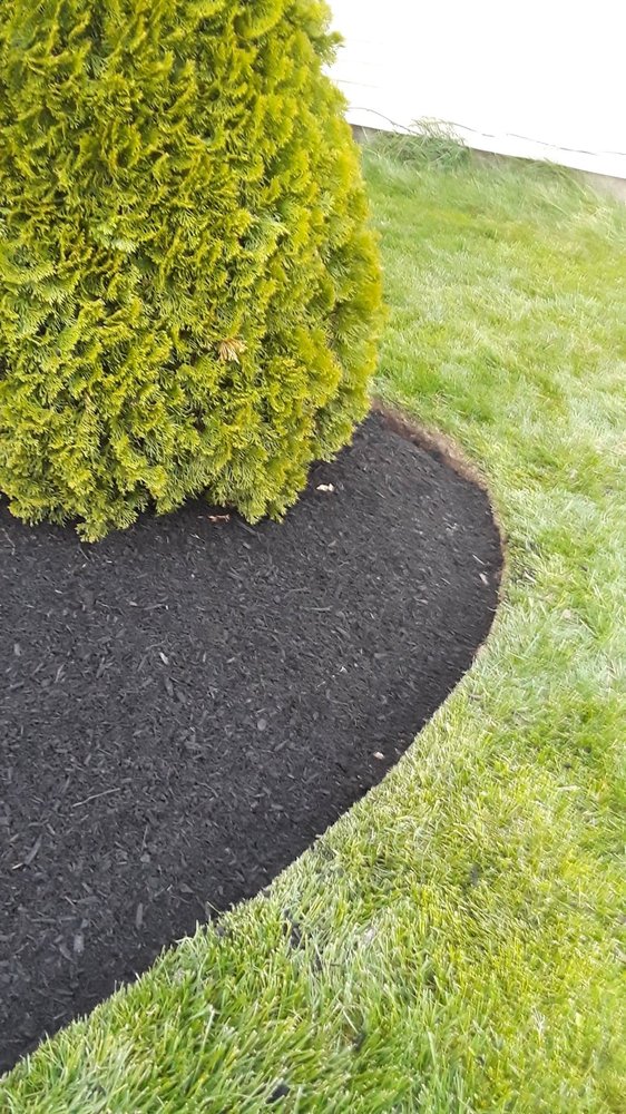 Photo of Affordable Lawn Care & Landscaping