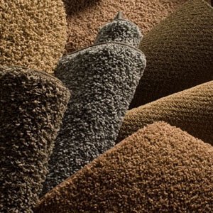 Photo of The Carpet Surgeon