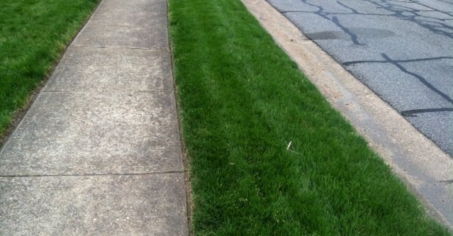 Photo of Atlantic Turf Landscaping