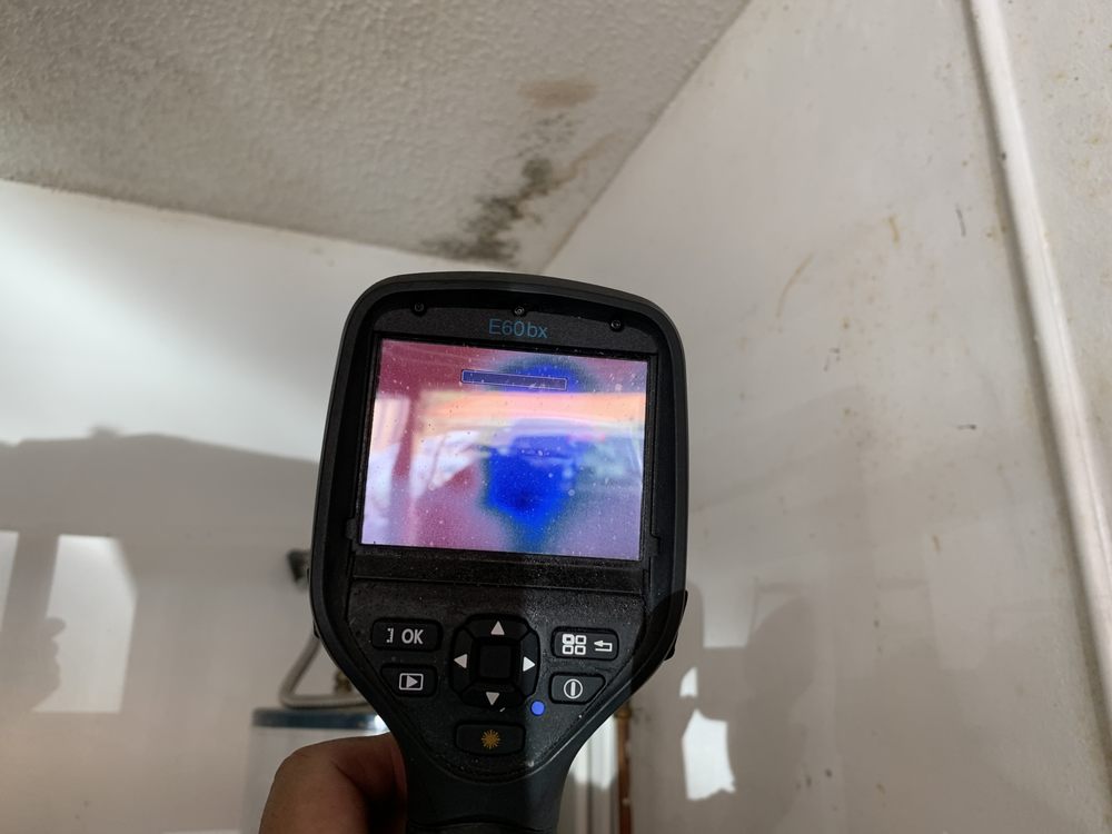 Photo of RMI Inspections Services