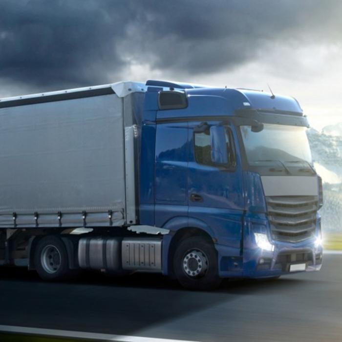 Photo of Meadows International Removals