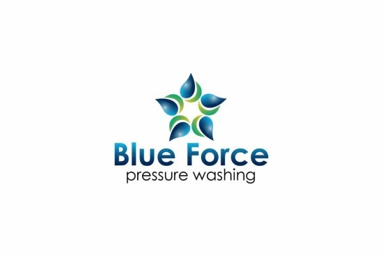 Photo of Blue Force Pressure Washing