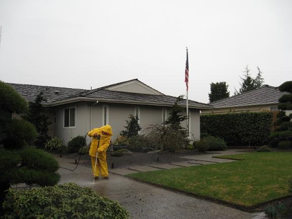 Photo of JP's Painting Home Maintenance & Repair