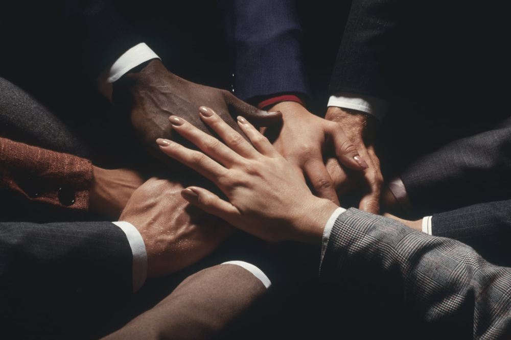 Photo of Appleseed Consulting
