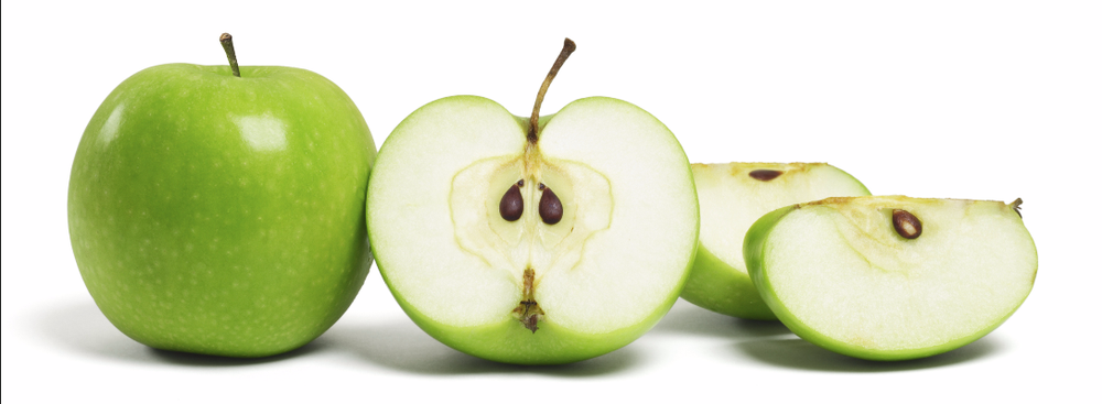 Photo of Appleseed Consulting