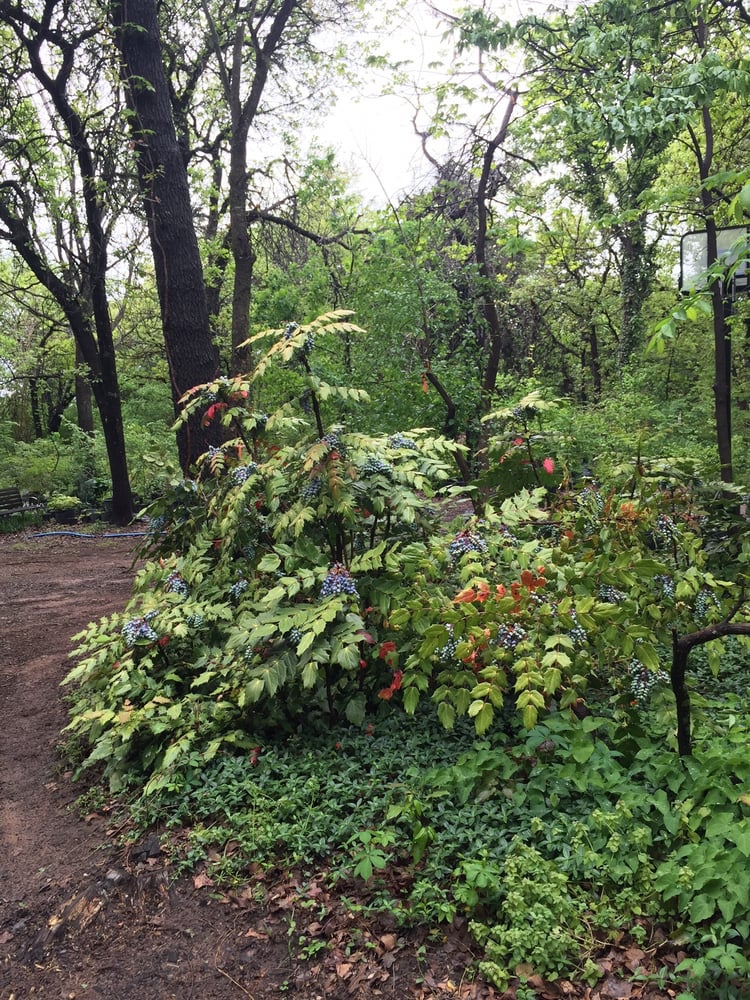Photo of Cottage Supply & Plants
