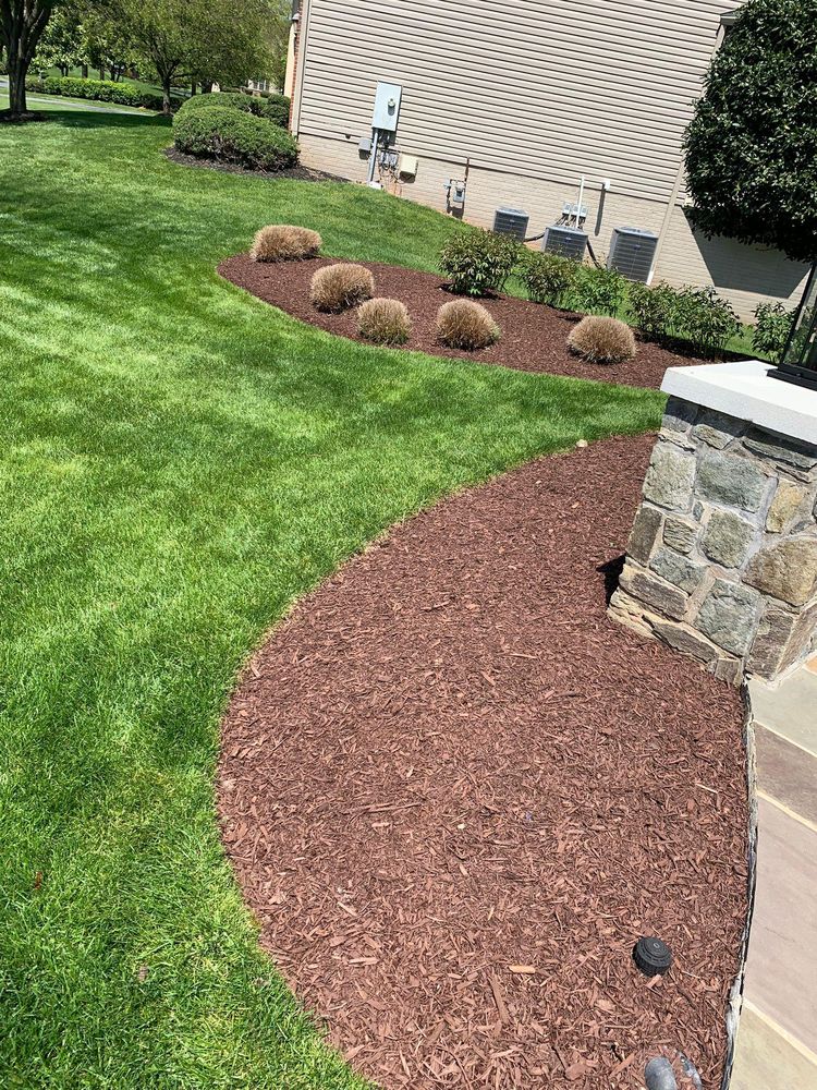 Photo of Mendoza Landscaping