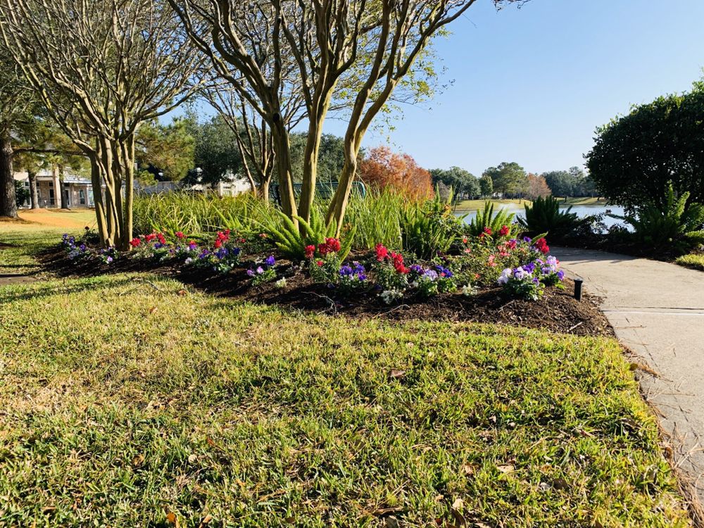 Photo of Urban Oasis Landscape
