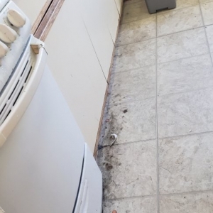 Photo of Great Cleaning Services , GCS LLC