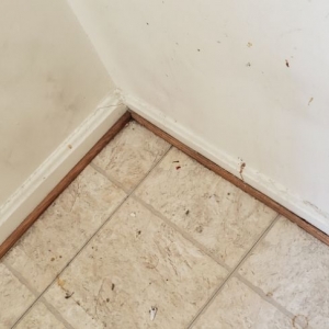 Photo of Great Cleaning Services , GCS LLC