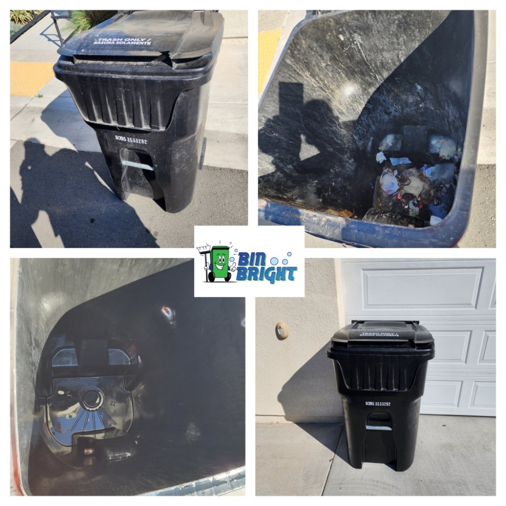 Photo of Bin Bright SD