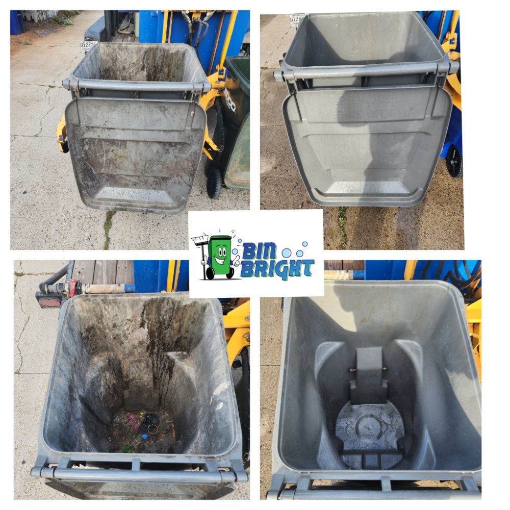 Photo of Bin Bright SD