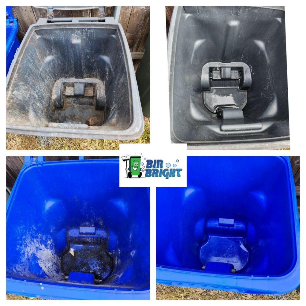 Photo of Bin Bright SD
