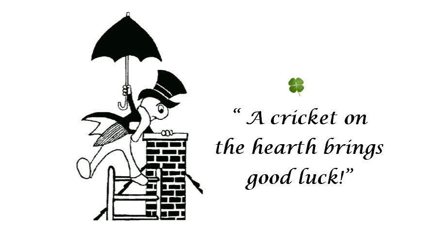 Photo of Chimney Cricket Sweeps