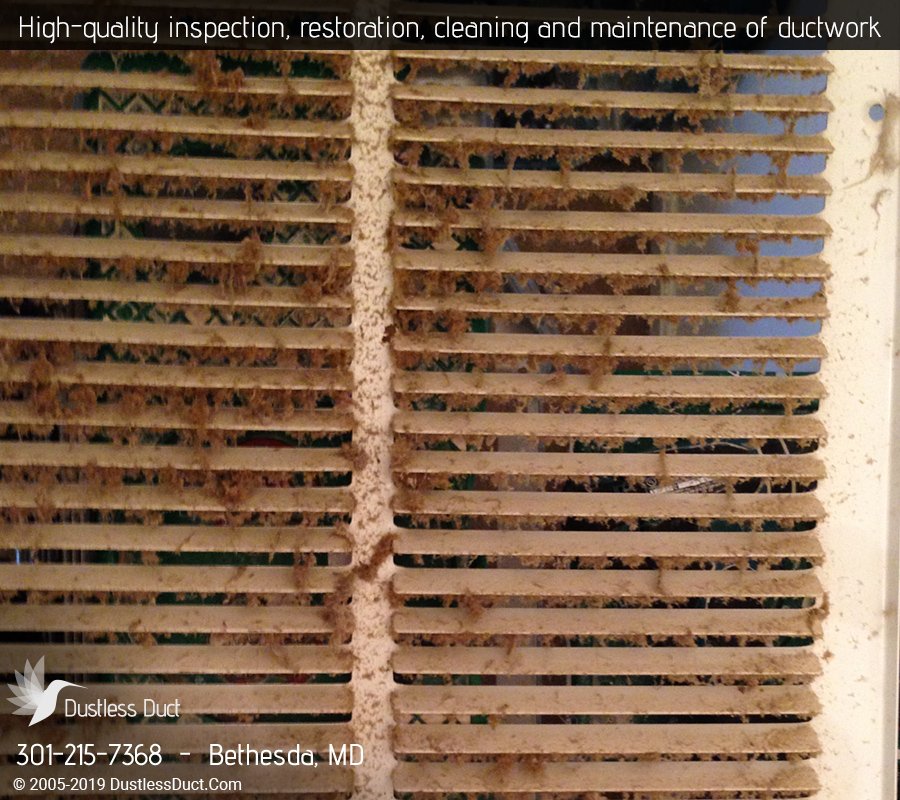 Photo of Dustless Duct