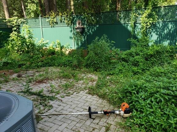 Photo of Bluegrass Lawn Care