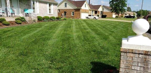 Photo of Bluegrass Lawn Care
