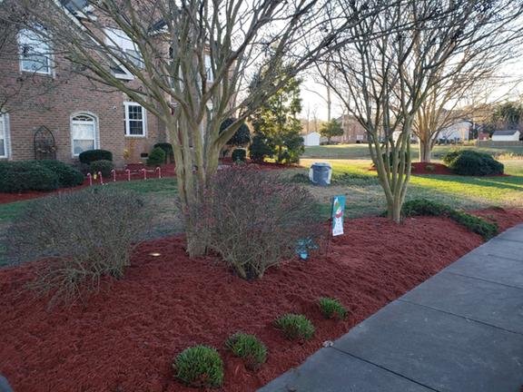 Photo of Bluegrass Lawn Care