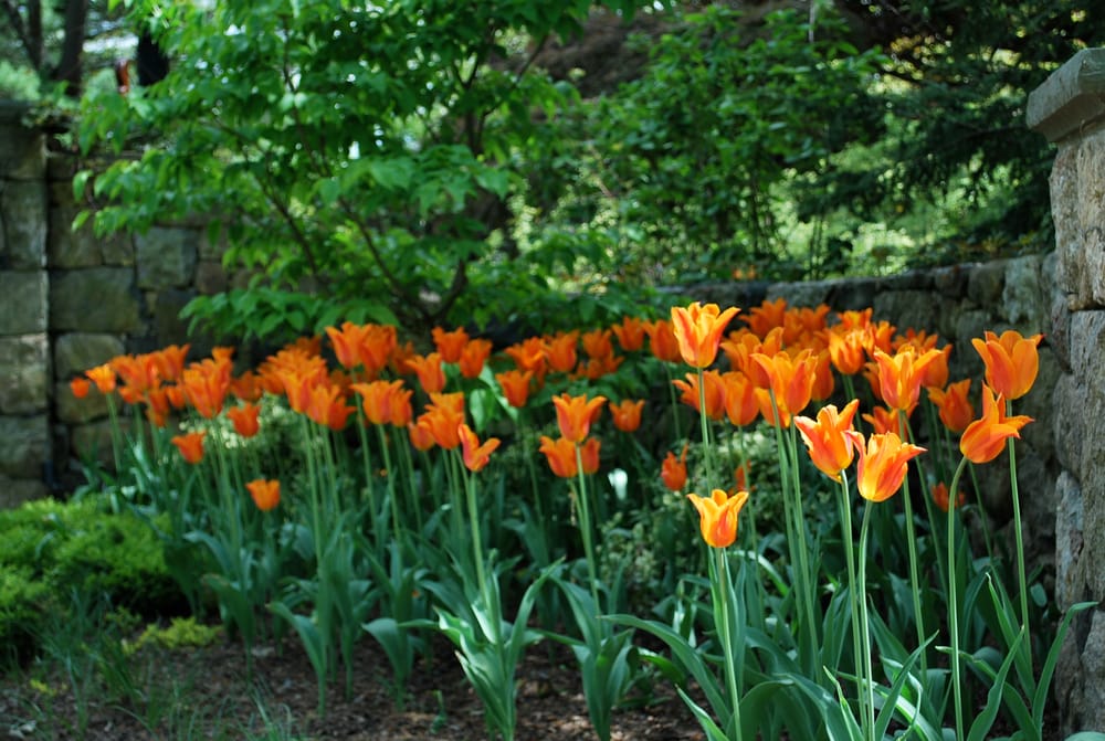 Photo of Green Day Landscape