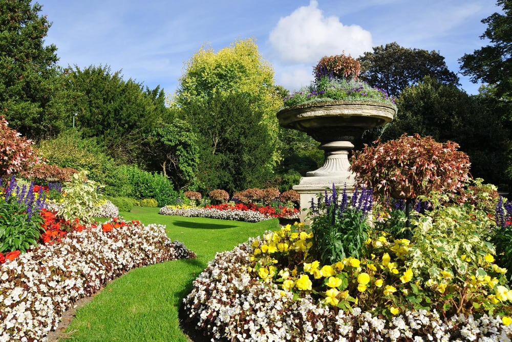 Photo of Green Day Landscape