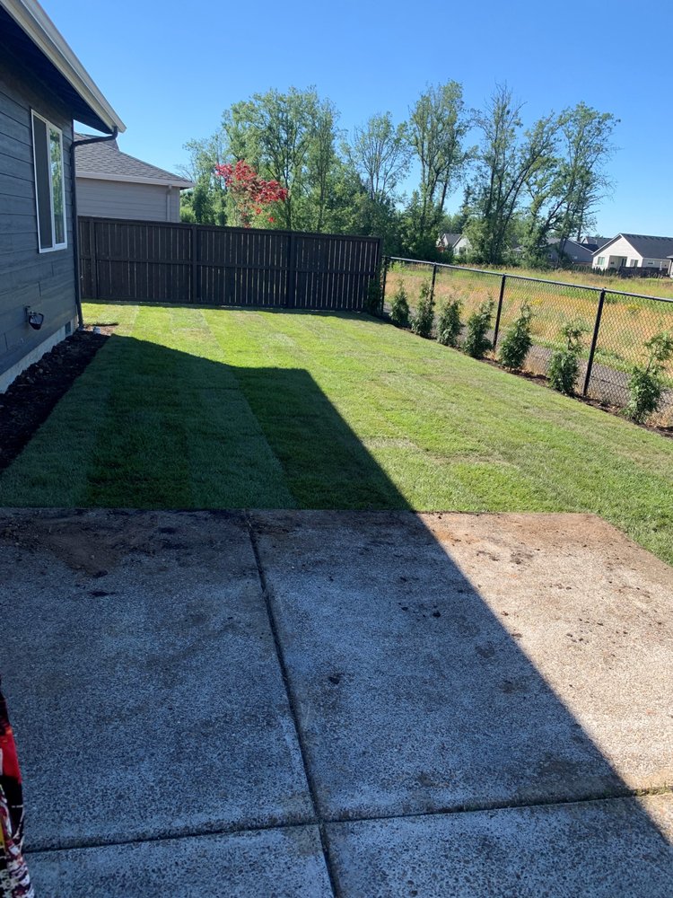 Photo of Green Bee Landscape Maintenance