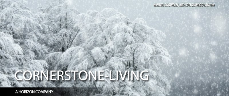 Photo of Cornerstone Residential