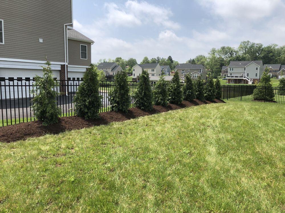 Photo of Lawn Lords Lawn Care & Landscape Services