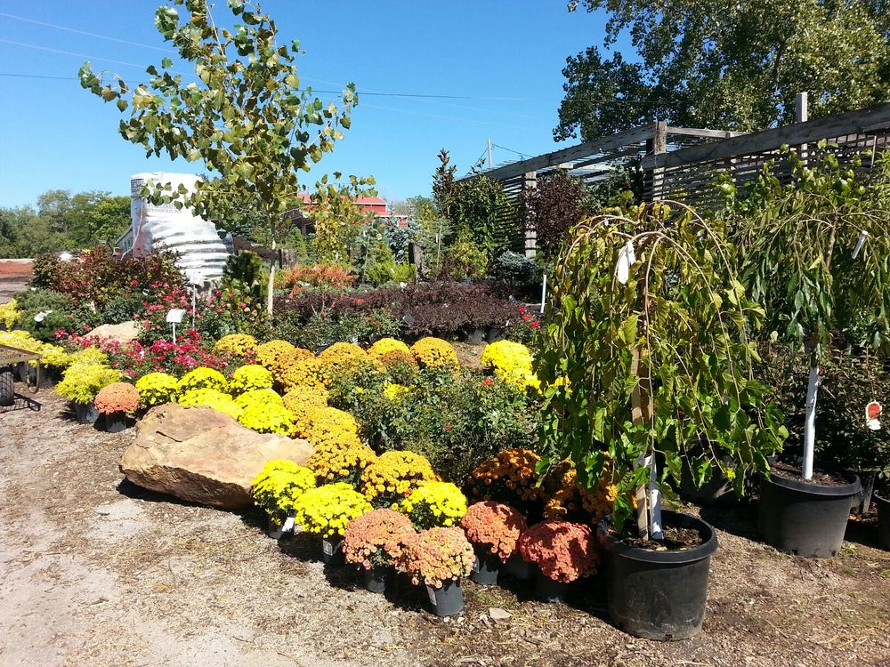 Photo of Jerry's Nursery & Landscaping