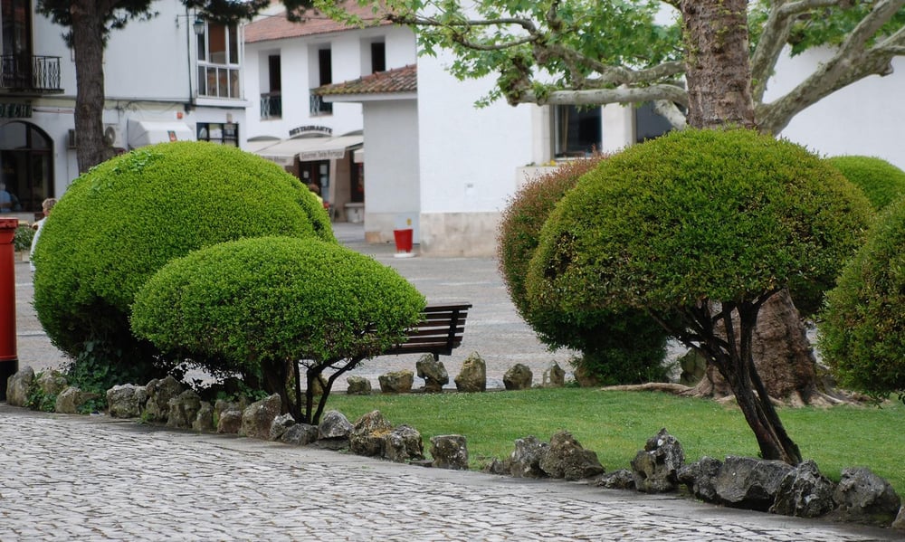 Photo of Three Rivers Landscaping