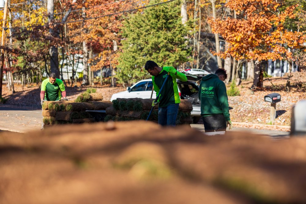 Photo of Plant Solutions Tree and Lawn Care Service