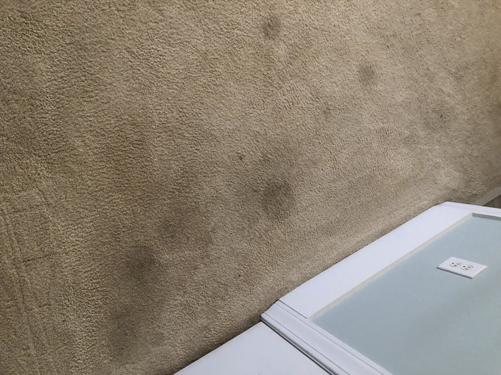 Photo of Affordable Services Carpet Cleaning