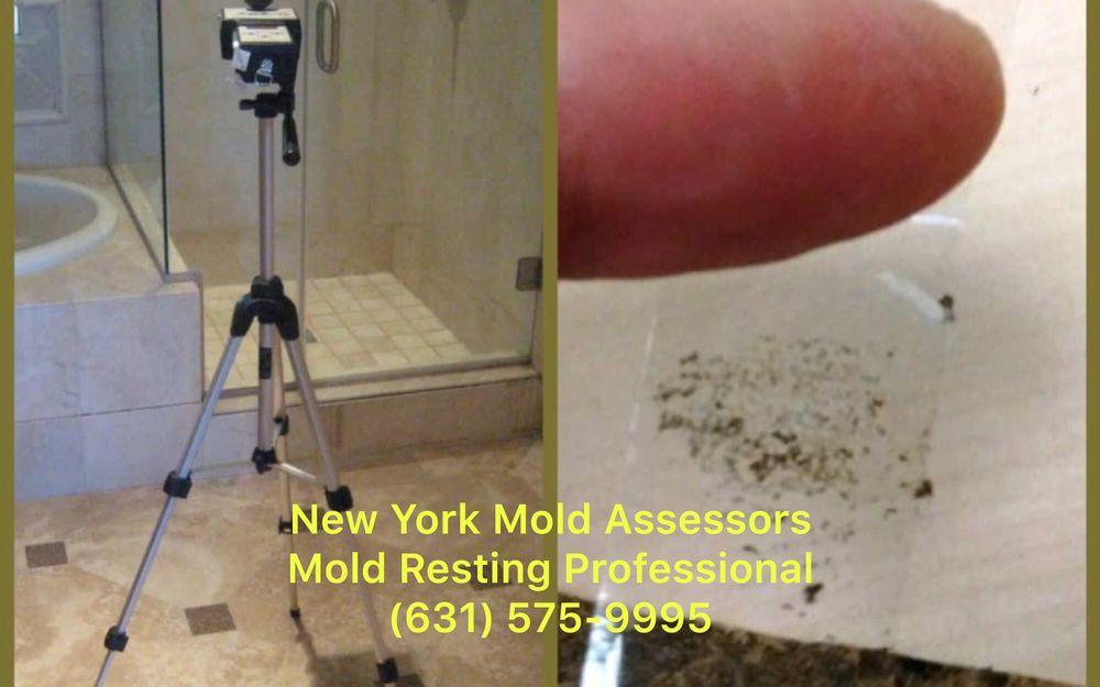 Photo of New York Mold Assessors