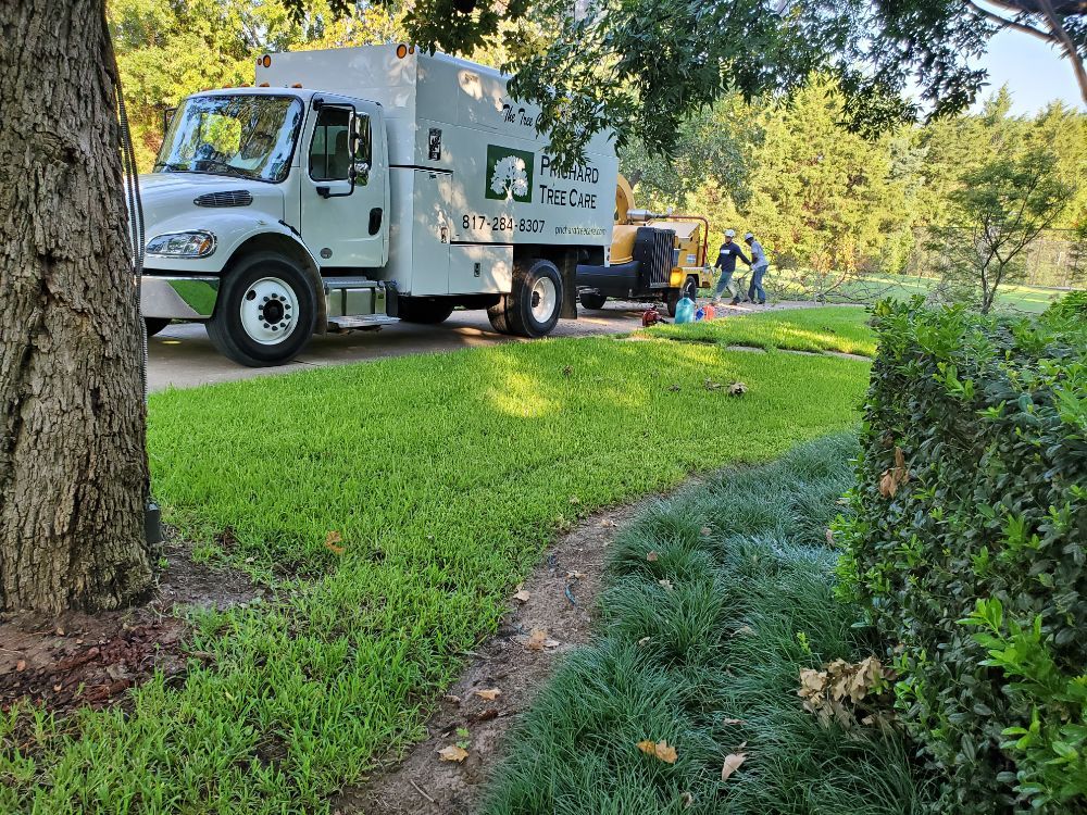 Photo of Prichard Tree Care