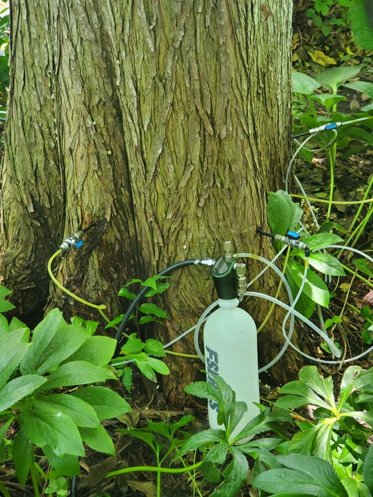 Photo of Prichard Tree Care