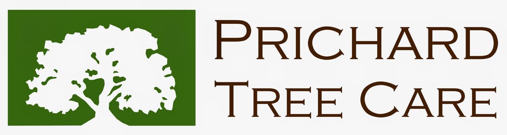 Photo of Prichard Tree Care