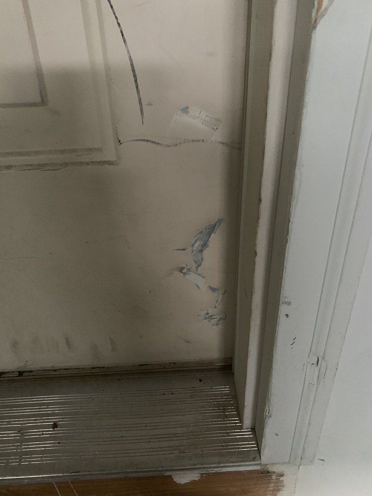Photo of Same Day Movers