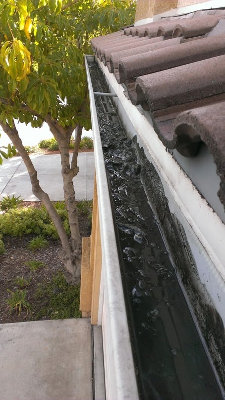 Photo of Blue Diamond Window Cleaning & Pressure Washing
