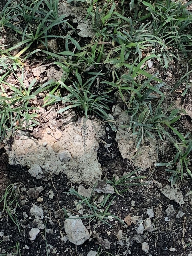 Photo of Pro Quality Concrete