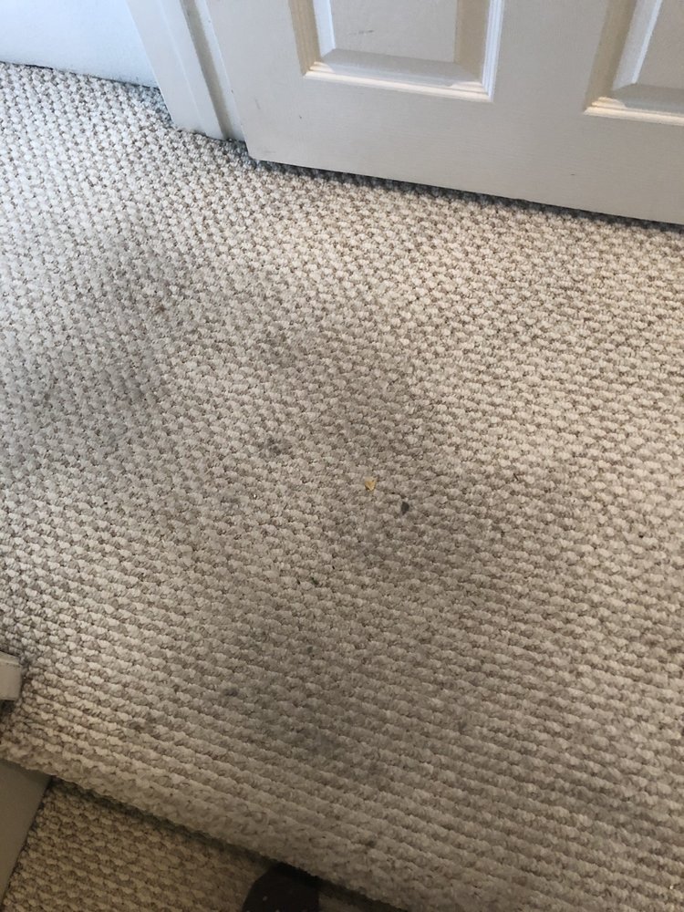 Photo of Powerhouse Carpet Cleaning