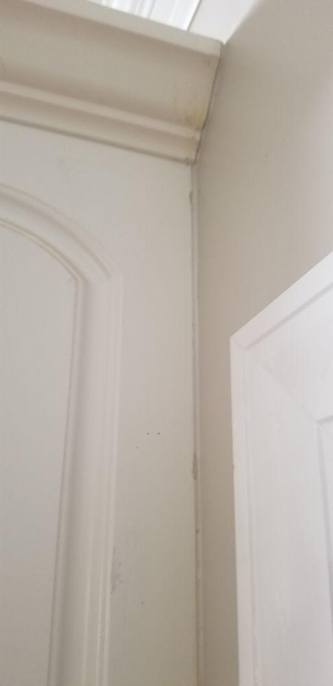 Photo of P&P and Son's Home Improvements and Handyman Service