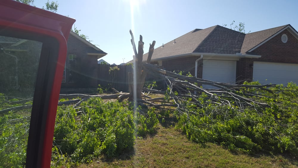 Photo of Jose's Lawn Care