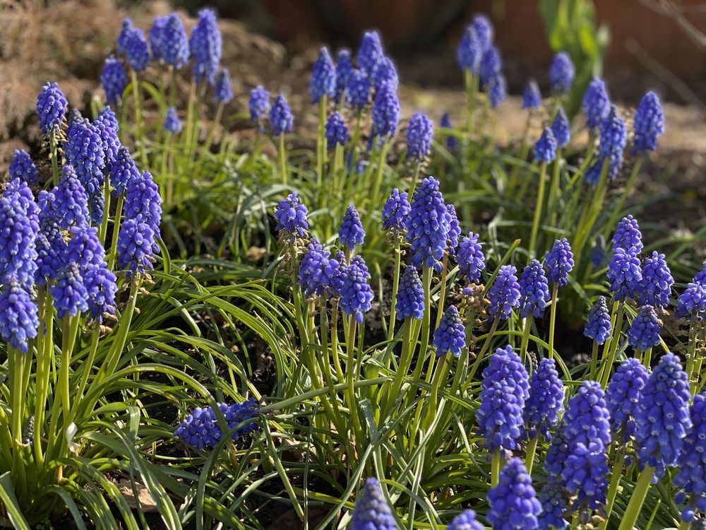 Photo of D&J Landscape Contractors