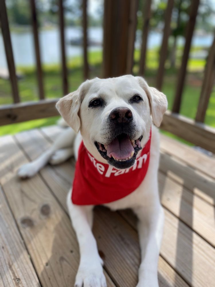 Photo of Barry Johnson - State Farm Insurance Agent